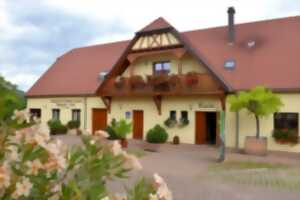 Au cœur du métier de vigneron : de la cave à l’assemblage