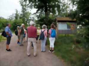 Le sentier des bornes commentée