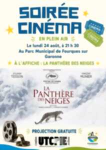 Cinéma en plein air 