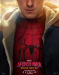 Cinéma Arudy : Spider-man : Brand new day