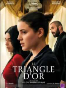 Cinéma Arudy : Le triangle d'or
