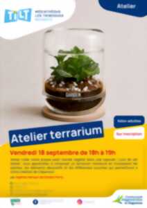 photo Atelier terrarium
