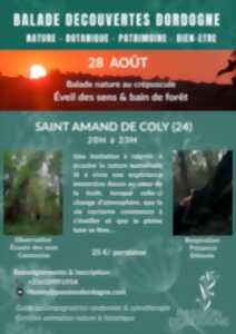 Balade nature au crépuscule
