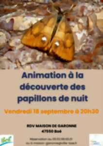 Maison de Garonne :  Animation découverte des papillons de nuit – tout public
