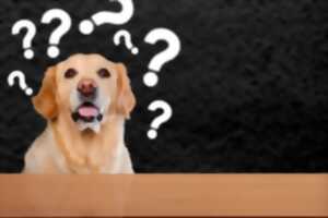 Quiz sur les animaux : Médiathèque La Ronde des mots