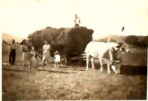 Histoire de la ferme