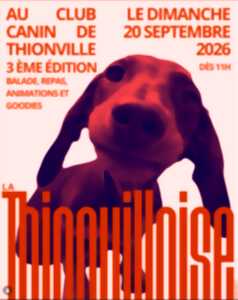 La Thionvilloise des teckels
