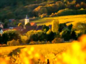 Vignobles en Scène Alsace : Jeu de piste dans le vignoble