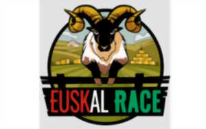 Euskal race : course d'obstacles