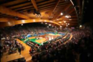 Match Limoges CSP / Roanne