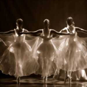 photo We call it Ballet