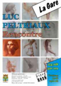 EXPOSITION LUC PELTRIAUX