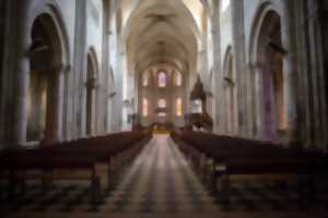 Visite guidée de la collégiale Saint-Liphard