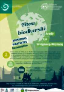 Fêtons la biodiversité : Le jour de la nuit