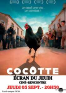 Ecran du Jeudi :
