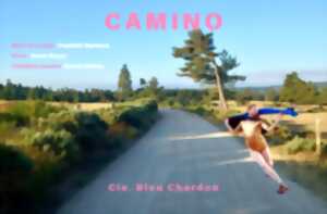 Molières en scène I Camino
