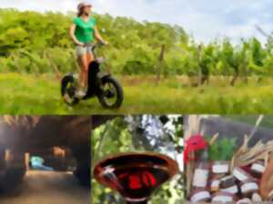 photo Vignobles en Scène - Escapade gourmande entre vignes et terroir en trottinette tout-terrain