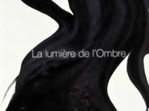 LA LUMIÈRE DE L'OMBRE (MATIÈRES NOIRES)