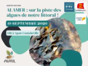 photo ALAMER : sur la piste des algues de notre littoral !