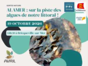 ALAMER : sur la piste des algues de notre littoral !