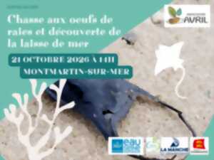 Chasse aux oeufs de raies et découverte de la laisse de mer