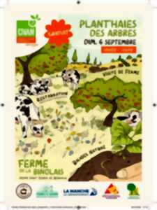 Plant'haies des arbres