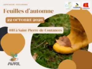 Feuilles d'automne