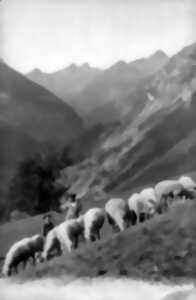 photo JOURNÉES EUROPÉENNES DU PATRIMOINE : « MÉMOIRES DE TRANSHUMANCE » - PROJECTION COMMENTÉE