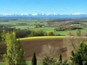 HALLE & ARTS : EXPO DE PHOTOS