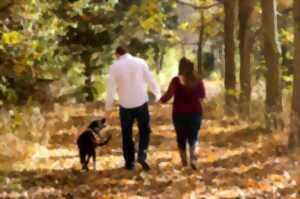 MARCHE POUR LA MEMOIRE