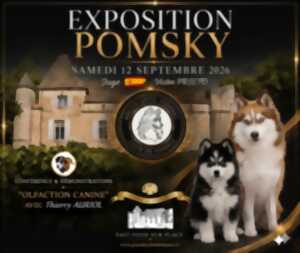 EXPOSITION CANINE POMSKY