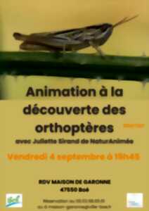 Maison de Garonne :  Animation à la découverte des orthoptères – tout public