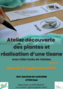 Maison de Garonne :  Atelier de reconnaissance des plantes et réalisation d’une tisane – tout public