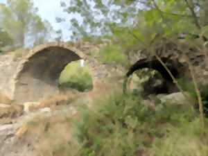 Le pont roman de Saint-Jean-de-Cuculles