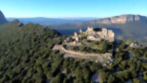 Les églises du Grand Pic Saint-Loup à travers les siècles
