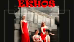 photo Concert Quatuor à cordes : Ekhos