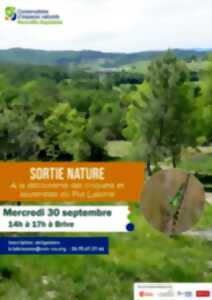 photo Sortie nature: A la découverte des criquets et sauterelles du Puy Laborie