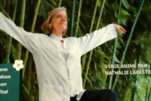 Stage de Qi Gong