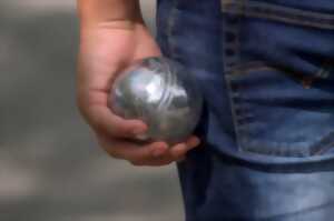 Concours de pétanque