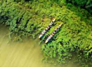 Balade nature en pirogue hawaïenne