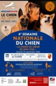 Le chien au coeur de nos vies
