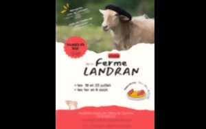 Visite et goûter à la ferme Landran