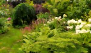 Flânerie au Jardin Gardincour