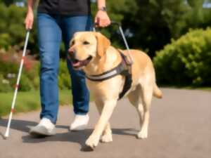 Présentation chiens guides d'aveugle