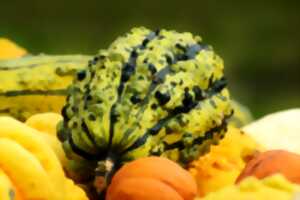 Petit marché d'automne
