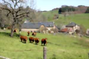 photo Circuit : à la découverte du patrimoine agricole de Saint-Hilaire-Taurieux
