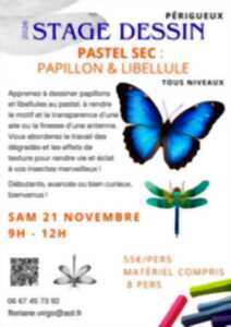 Stage dessin : Pastel sec - Papillon et libellule par Floriane VIRGO