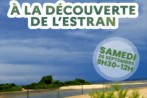 À la découverte de l’estran