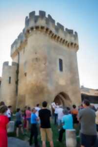 Exposition dans la Tour du Lhyan : images stéréoscopiques