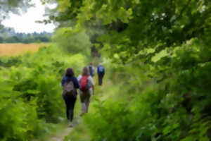 Balade autour de la Haie - Bocage et Biodiversité